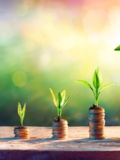 high interest savings account