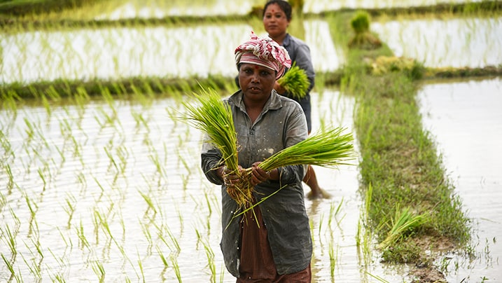 storms-sectors-and-stocks-how-the-economy-is-impacted-by-monsoon