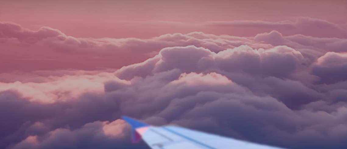 IndiGo IDFC FIRST Dual Credit Card