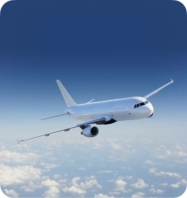 international & Domestic flights
