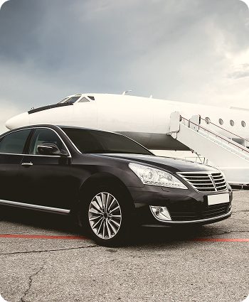 Airport Meet & Greet