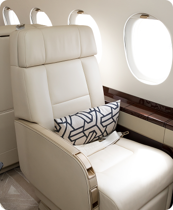 Annual Fee Payment Benefit