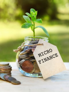 Business Loans vs. Microfinance: Key Differences