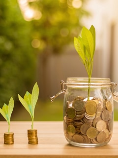 How Much Monthly Interest Can You Earn on Fixed Deposits?