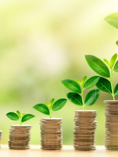 What is a Cumulative Fixed Deposit?