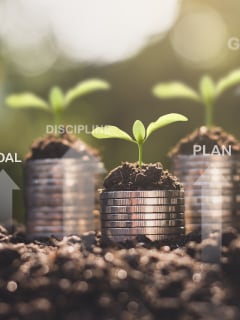 Pledges to ensure financial discipline