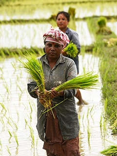Image discussing the impact of monsoons on the economy